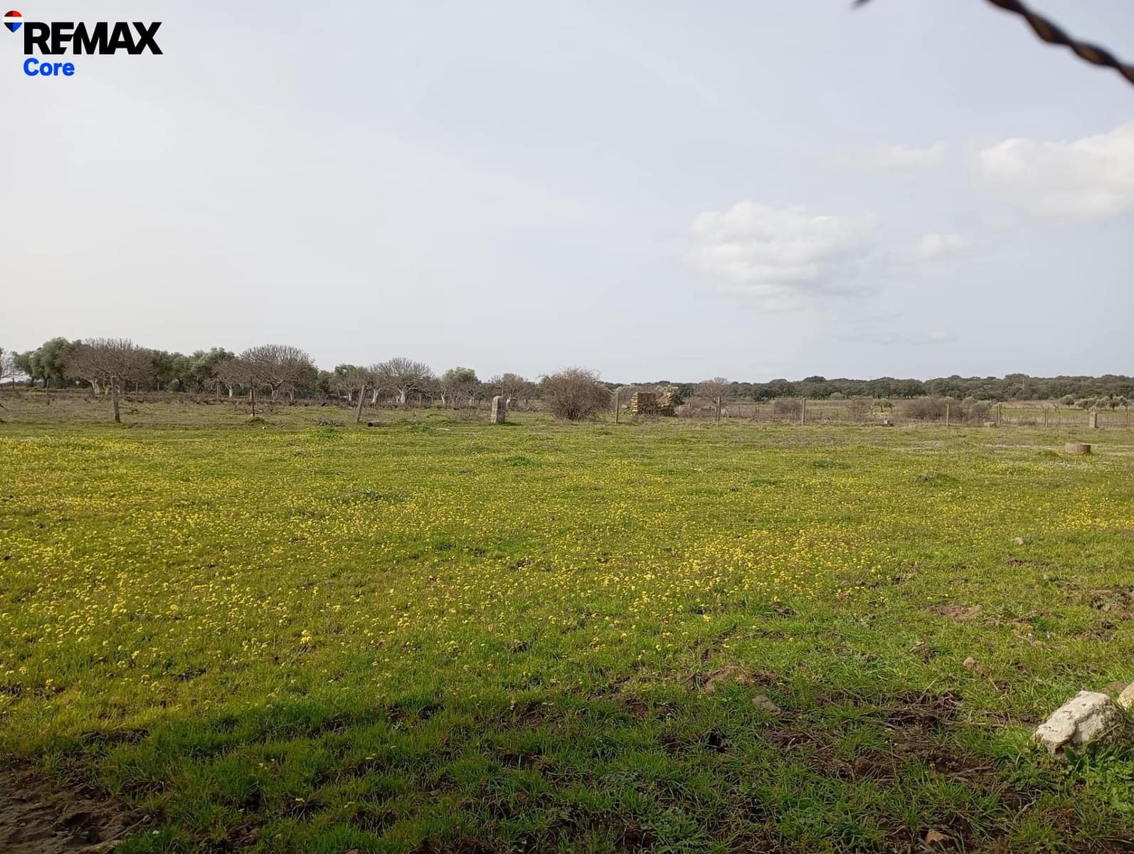 Terreno Non Edificato in vendita in Montanchez - 33.000 € (Rif: 9661960)