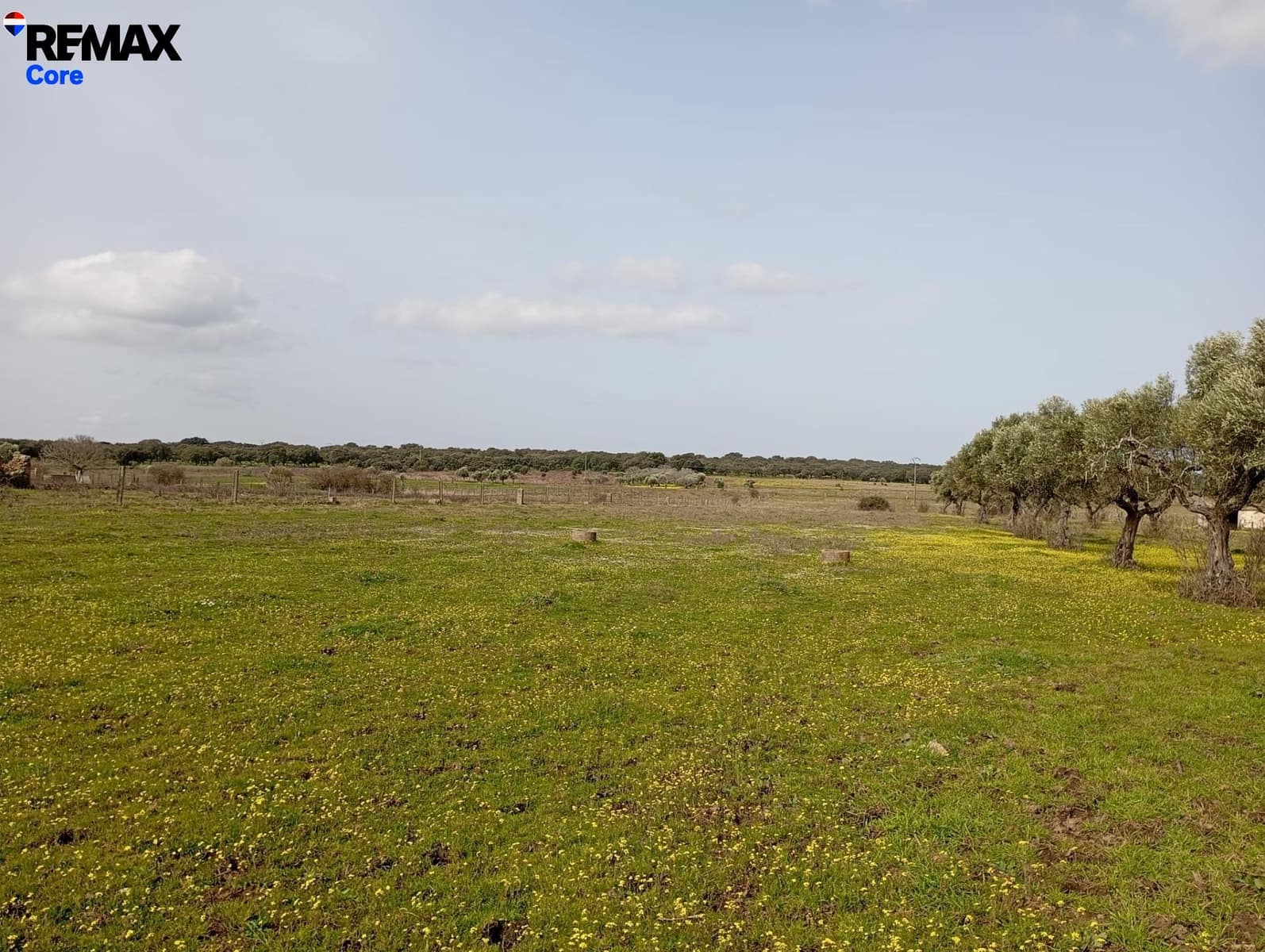 Terreno Non Edificato in vendita in Montanchez - 33.000 € (Rif: 9661960)