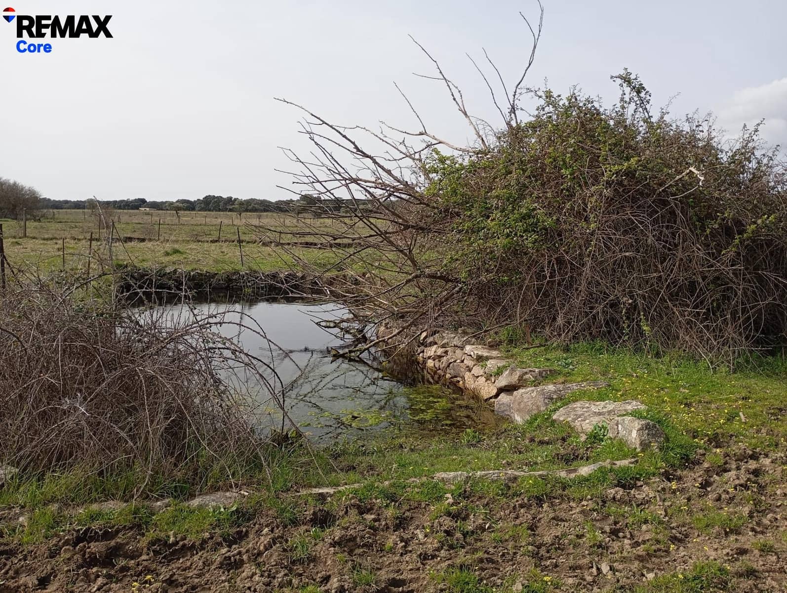 Terreno Non Edificato in vendita in Montanchez - 33.000 € (Rif: 9661960)