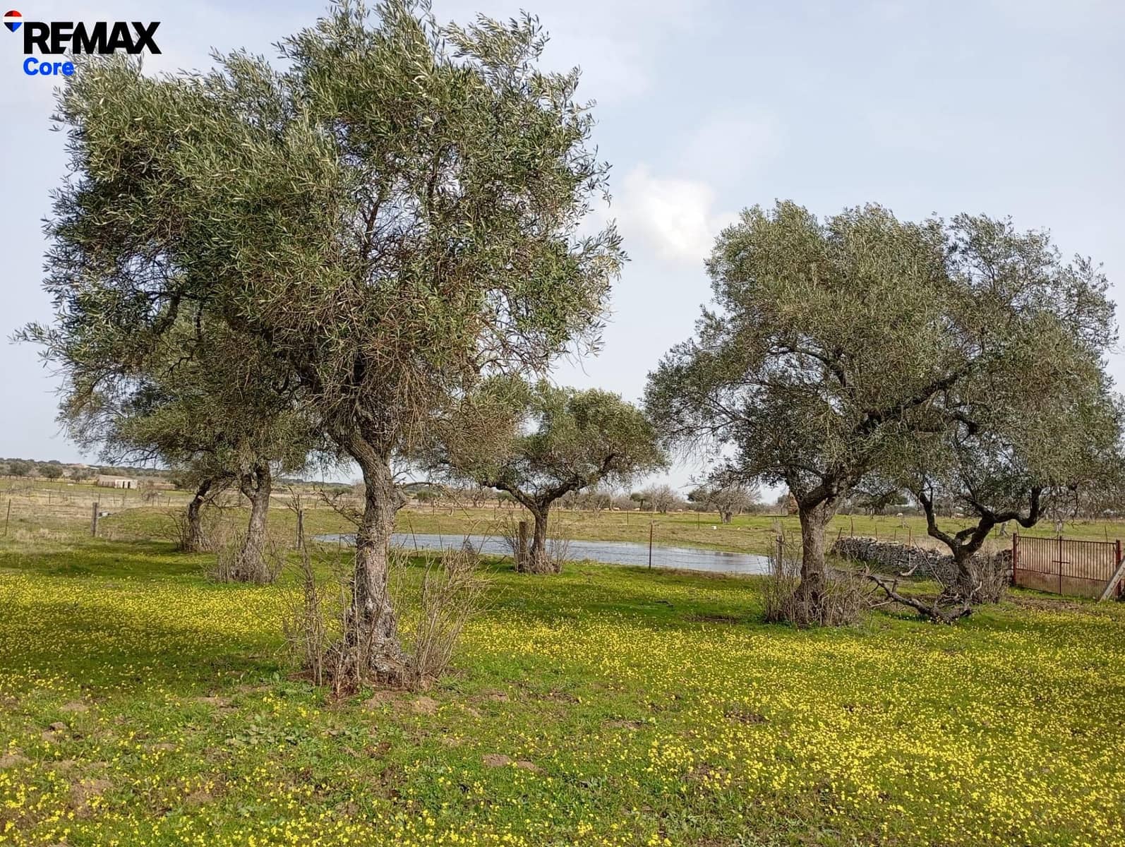 Terreno Non Edificato in vendita in Montanchez - 33.000 € (Rif: 9661960)