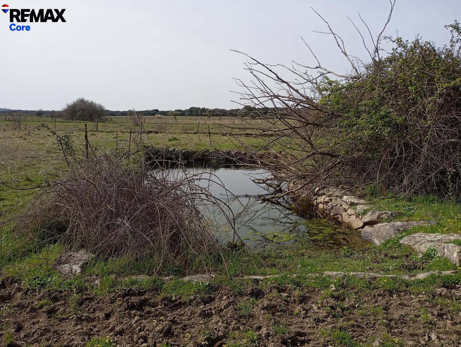 Terreno Non Edificato in vendita in Montanchez - 33.000 € (Rif: 9661960)