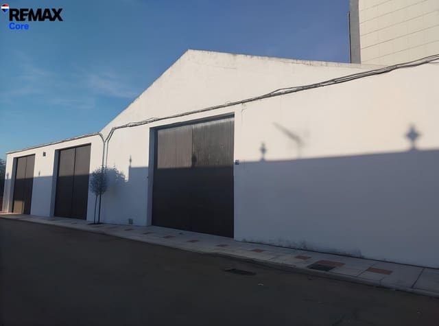 Bedrift til salgs i Esparragalejo - € 145 000 (Ref: 9661964)