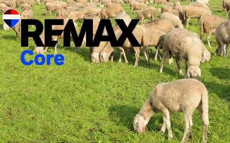 Terreno Non Edificato in vendita in Zorita - 1.530.000 € (Rif: 9661965)