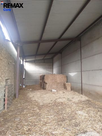 Rakentamaton maa myytävänä paikassa Zorita - 1 530 000 € (Ref: 9661965)