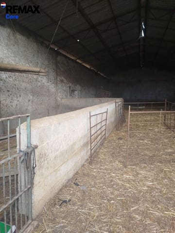 Rakentamaton maa myytävänä paikassa Zorita - 1 530 000 € (Ref: 9661965)