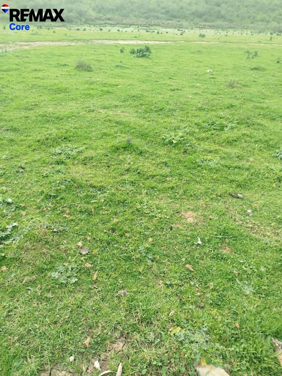 Terreno Non Edificato in vendita in Zorita - 1.530.000 € (Rif: 9661965)