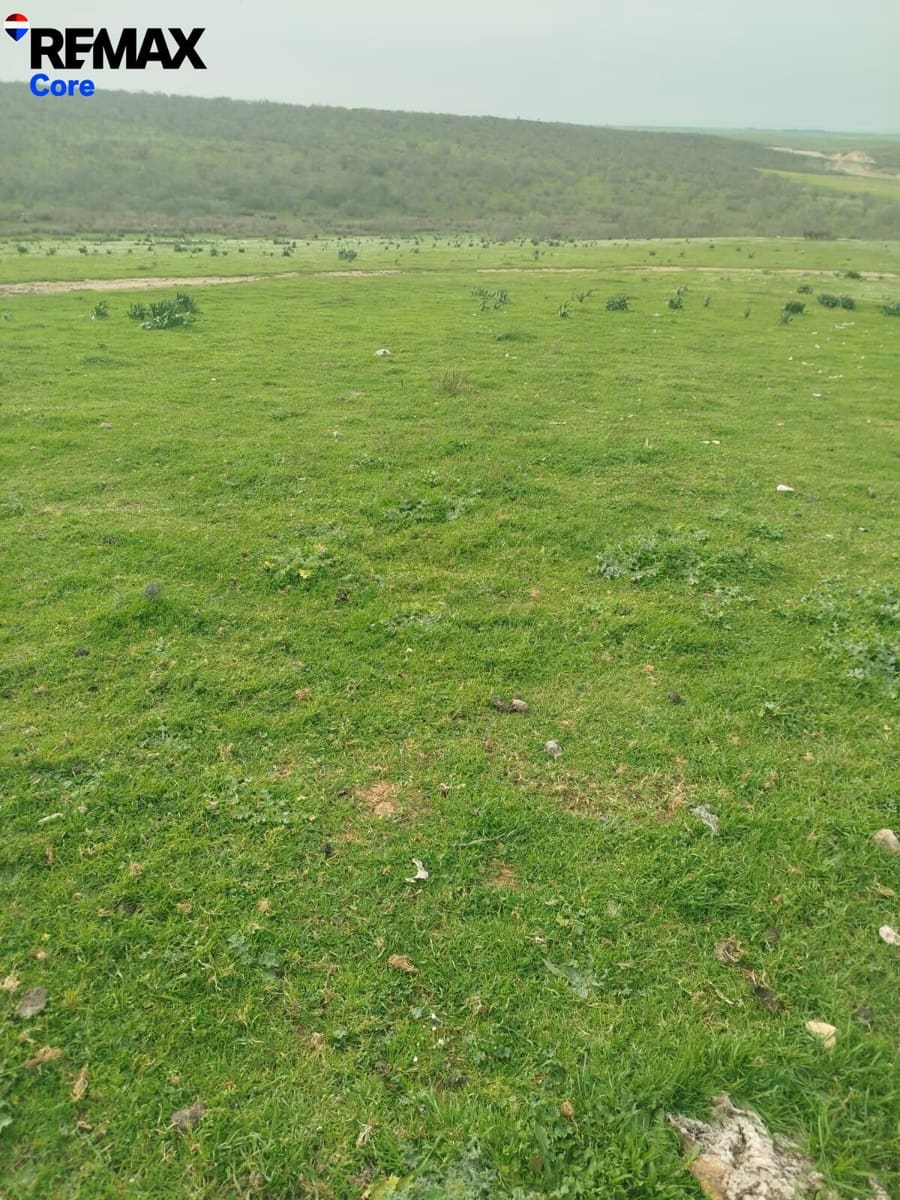 Terreno Non Edificato in vendita in Zorita - 1.530.000 € (Rif: 9661965)