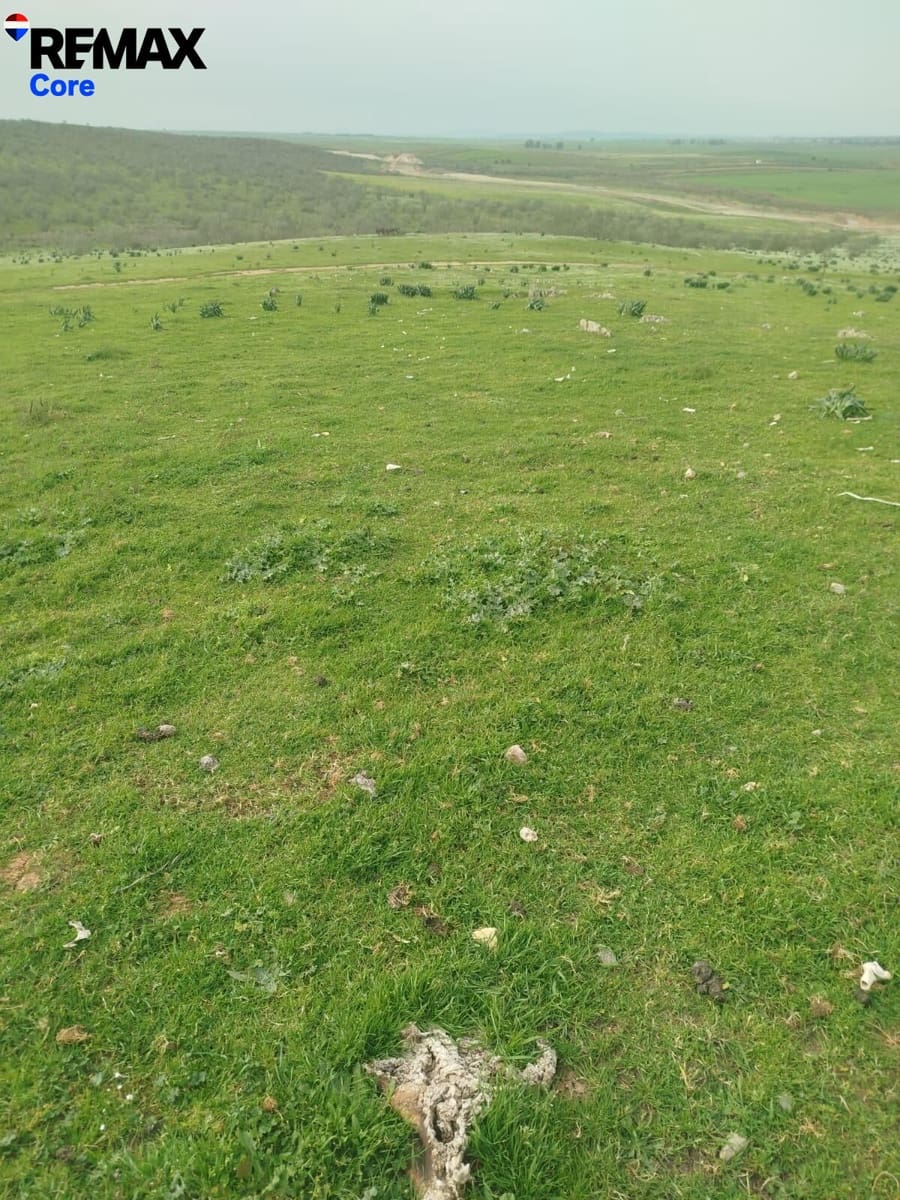 Terreno Non Edificato in vendita in Zorita - 1.530.000 € (Rif: 9661965)