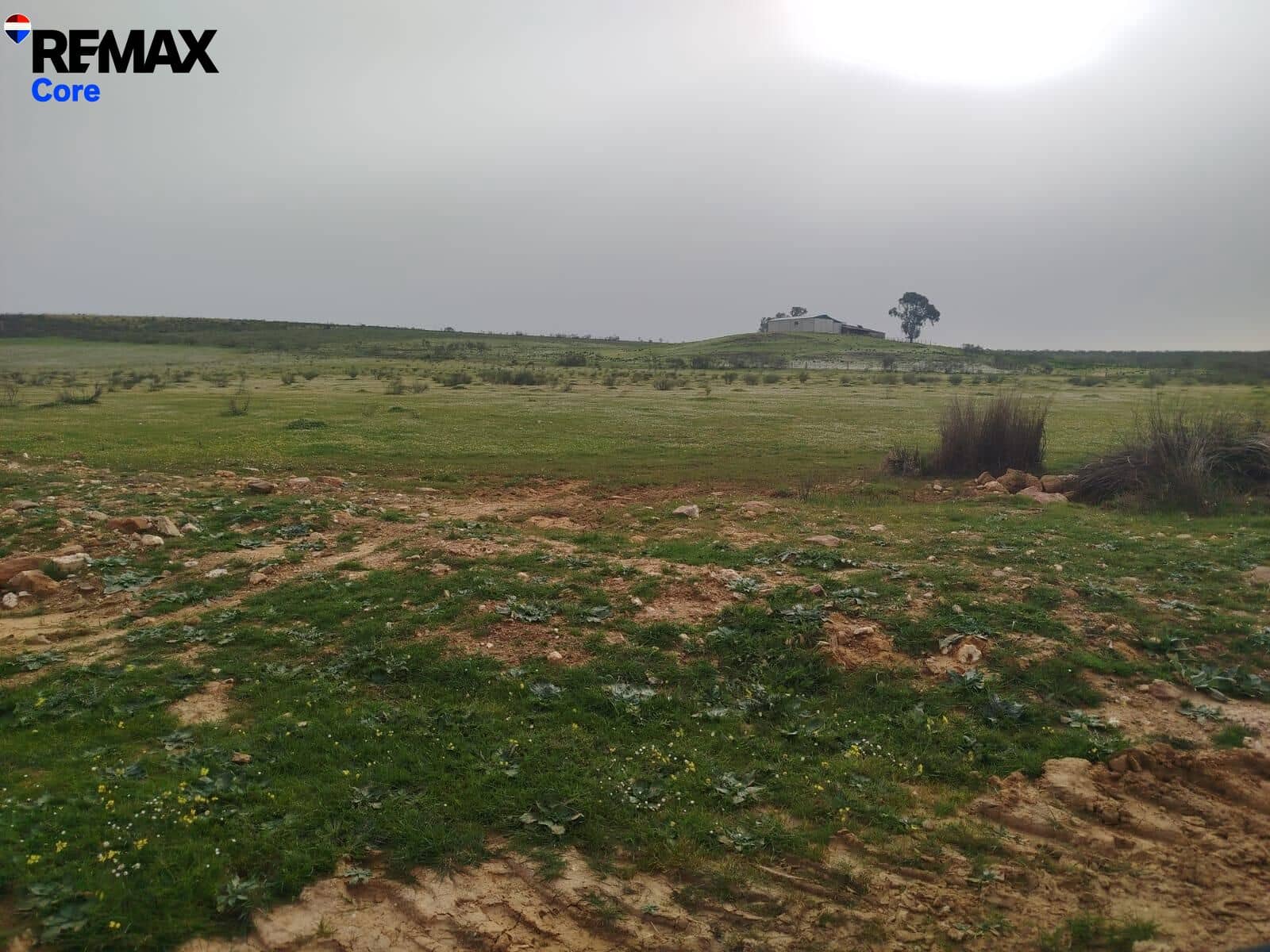 Terreno Non Edificato in vendita in Zorita - 1.530.000 € (Rif: 9661965)