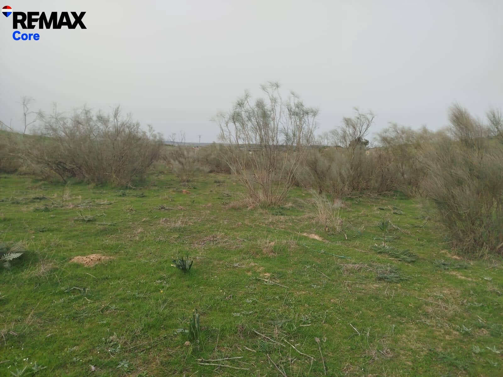 Terreno Non Edificato in vendita in Zorita - 1.530.000 € (Rif: 9661965)