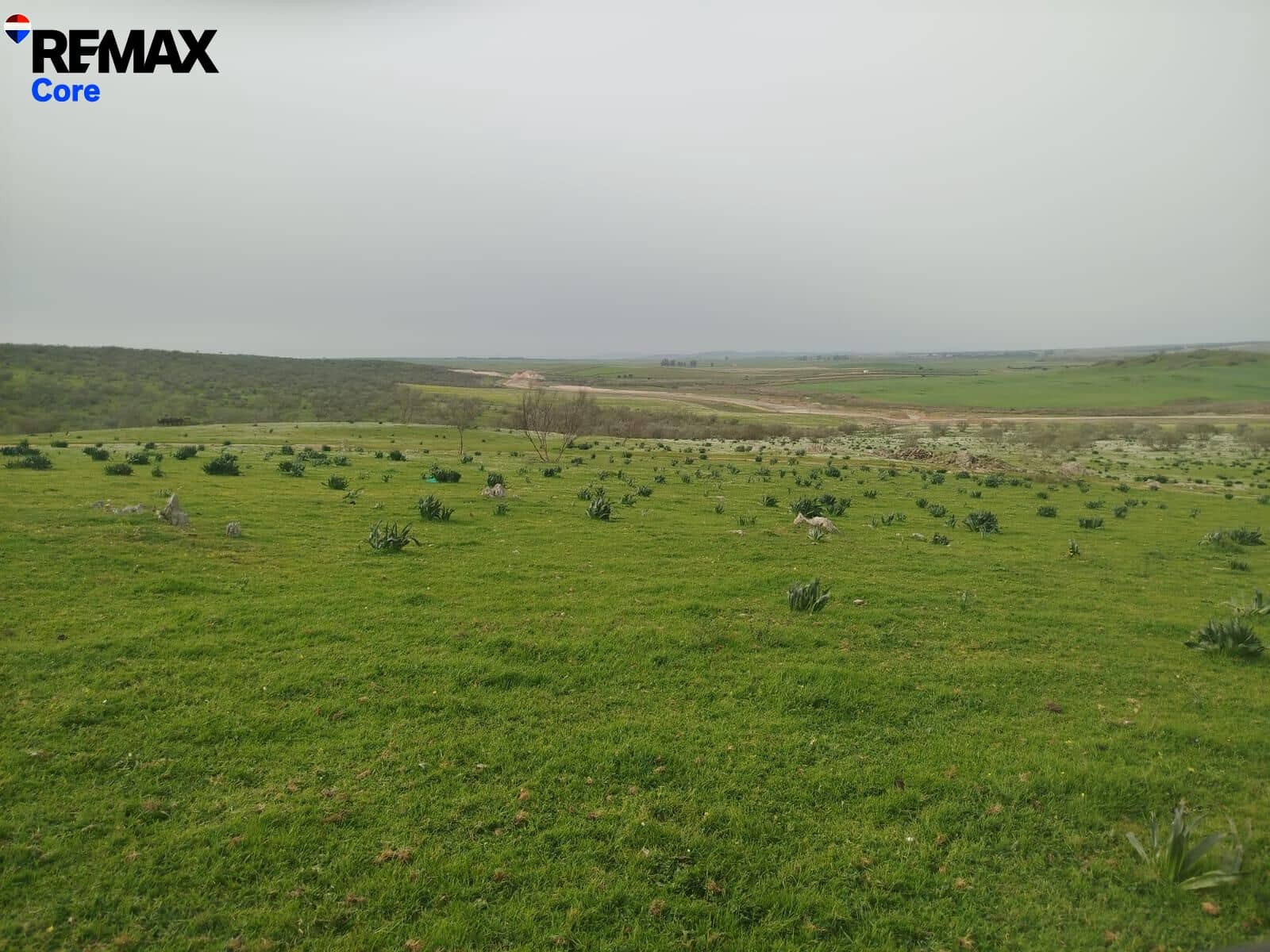 Terreno Non Edificato in vendita in Zorita - 1.530.000 € (Rif: 9661965)