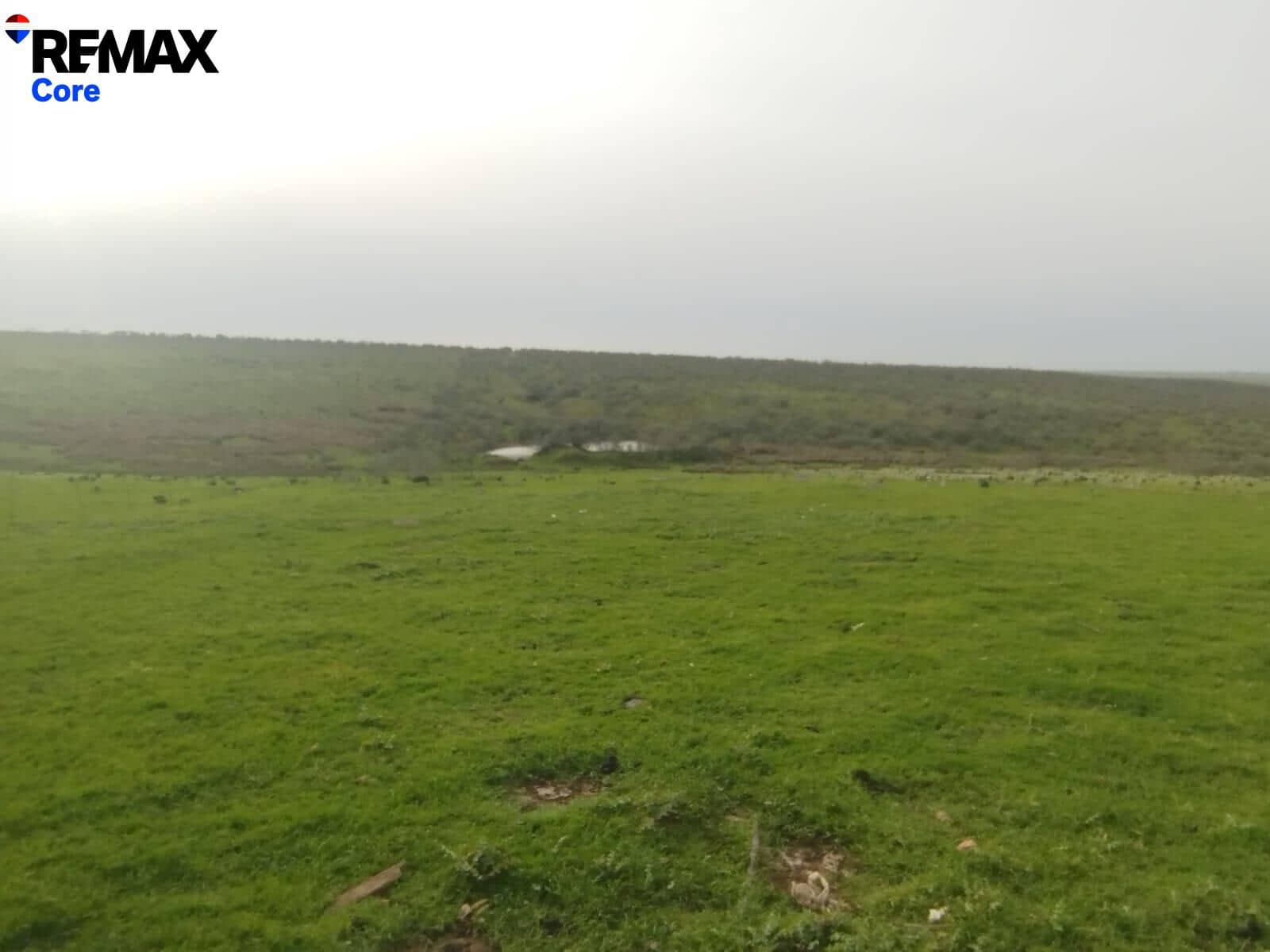 Terreno Non Edificato in vendita in Zorita - 1.530.000 € (Rif: 9661965)