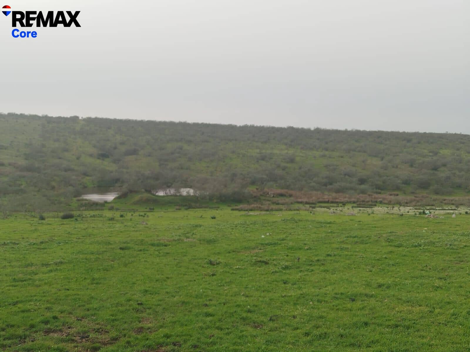 Terreno Non Edificato in vendita in Zorita - 1.530.000 € (Rif: 9661965)