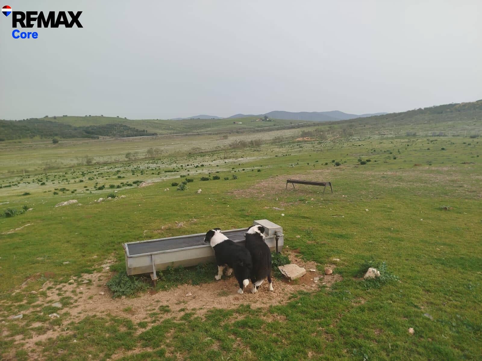 Terreno Non Edificato in vendita in Zorita - 1.530.000 € (Rif: 9661965)