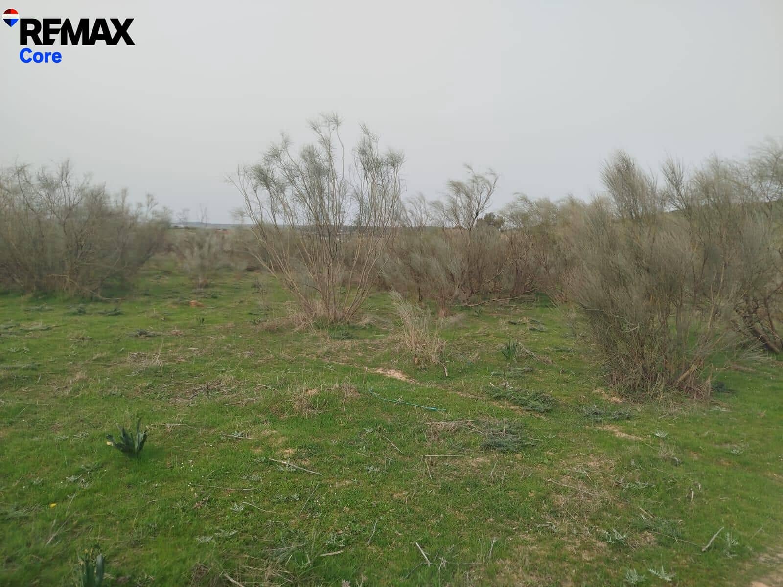 Terreno Non Edificato in vendita in Zorita - 1.530.000 € (Rif: 9661965)