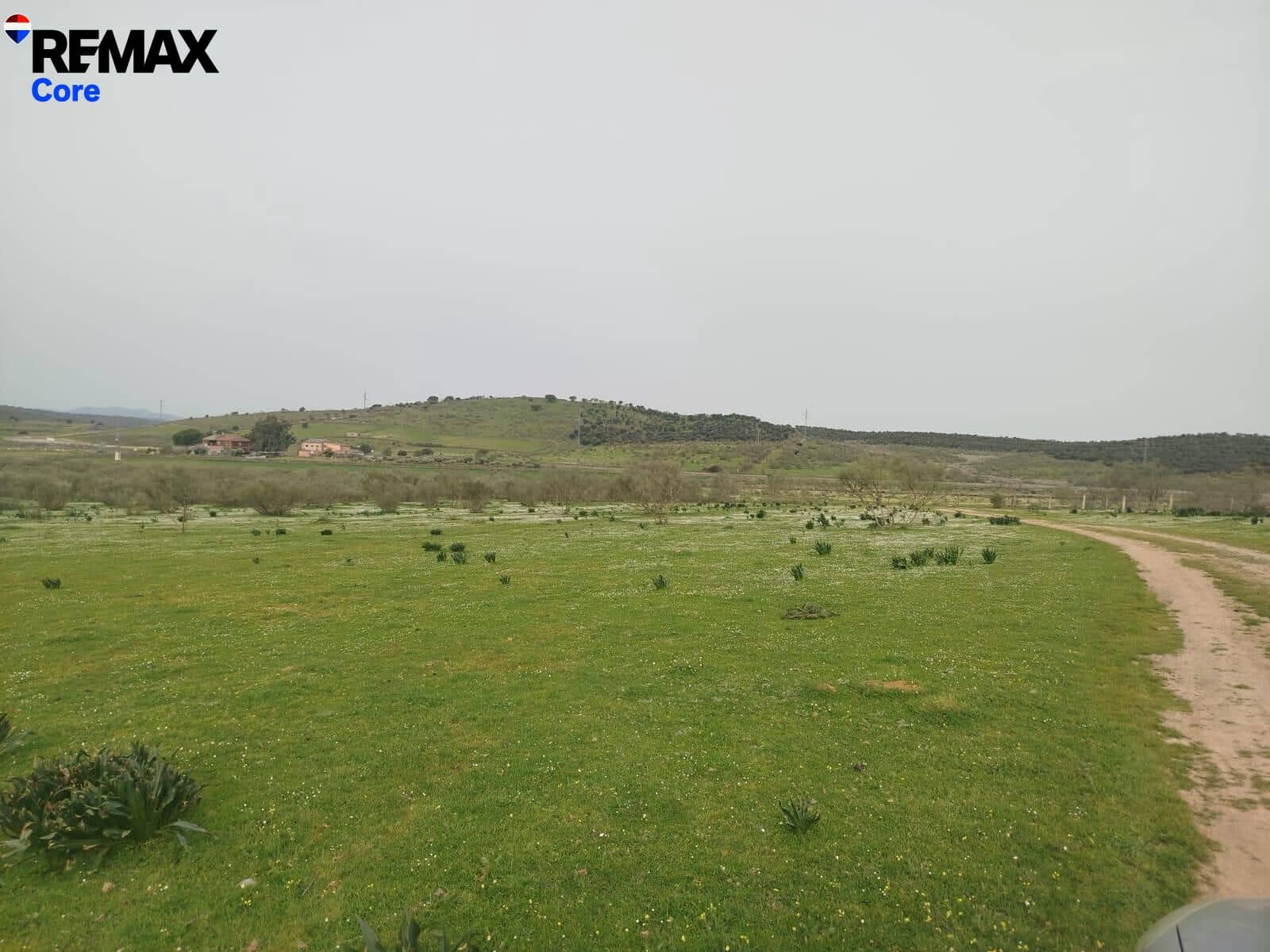 Terreno Non Edificato in vendita in Zorita - 1.530.000 € (Rif: 9661965)