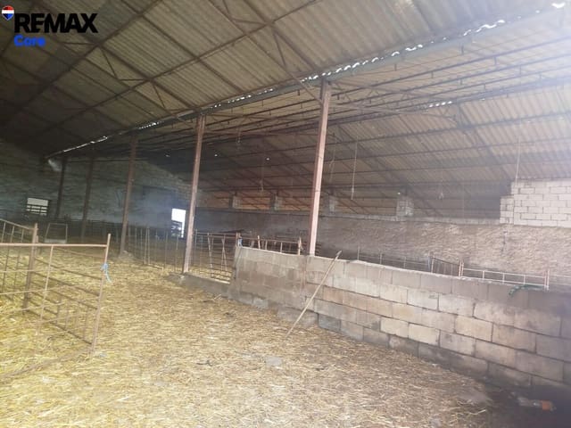 Rakentamaton maa myytävänä paikassa Zorita - 1 530 000 € (Ref: 9661965)