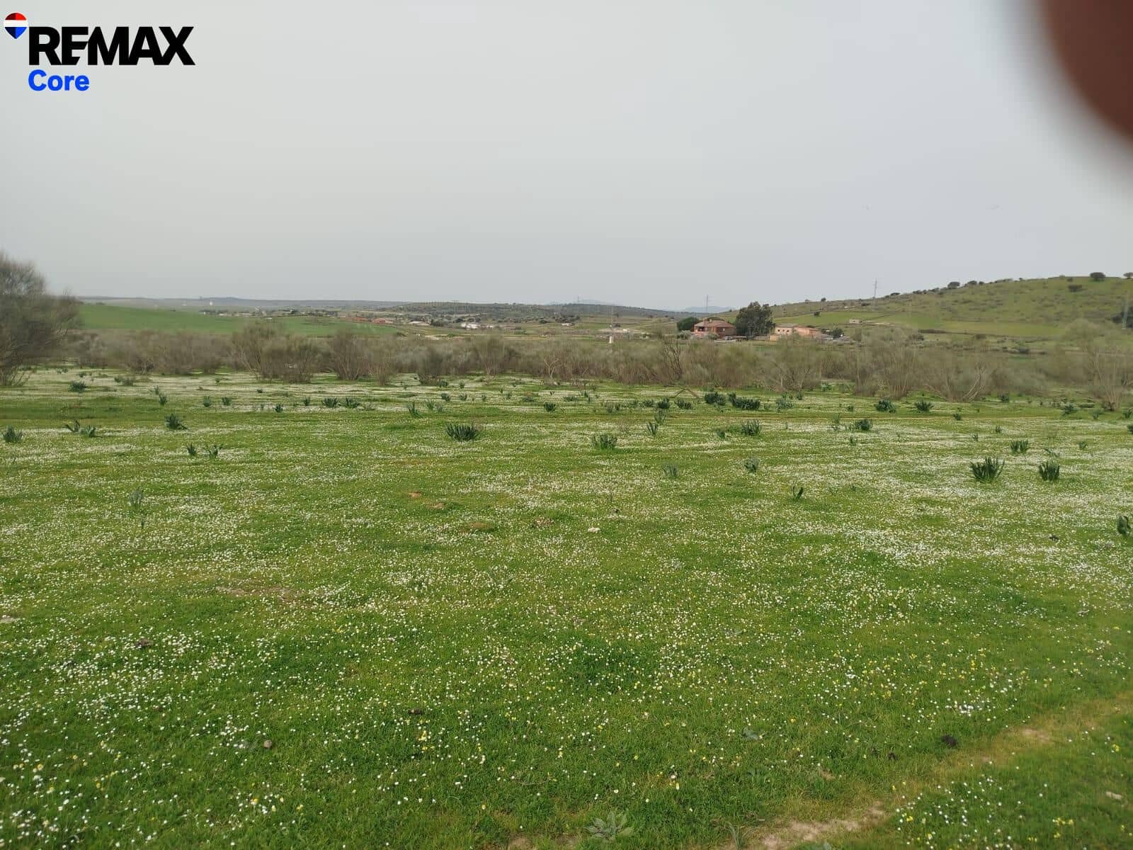 Terreno Non Edificato in vendita in Zorita - 1.530.000 € (Rif: 9661965)