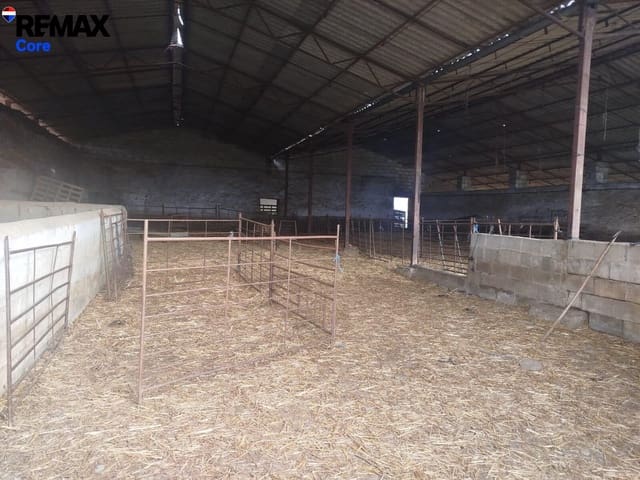 Rakentamaton maa myytävänä paikassa Zorita - 1 530 000 € (Ref: 9661965)