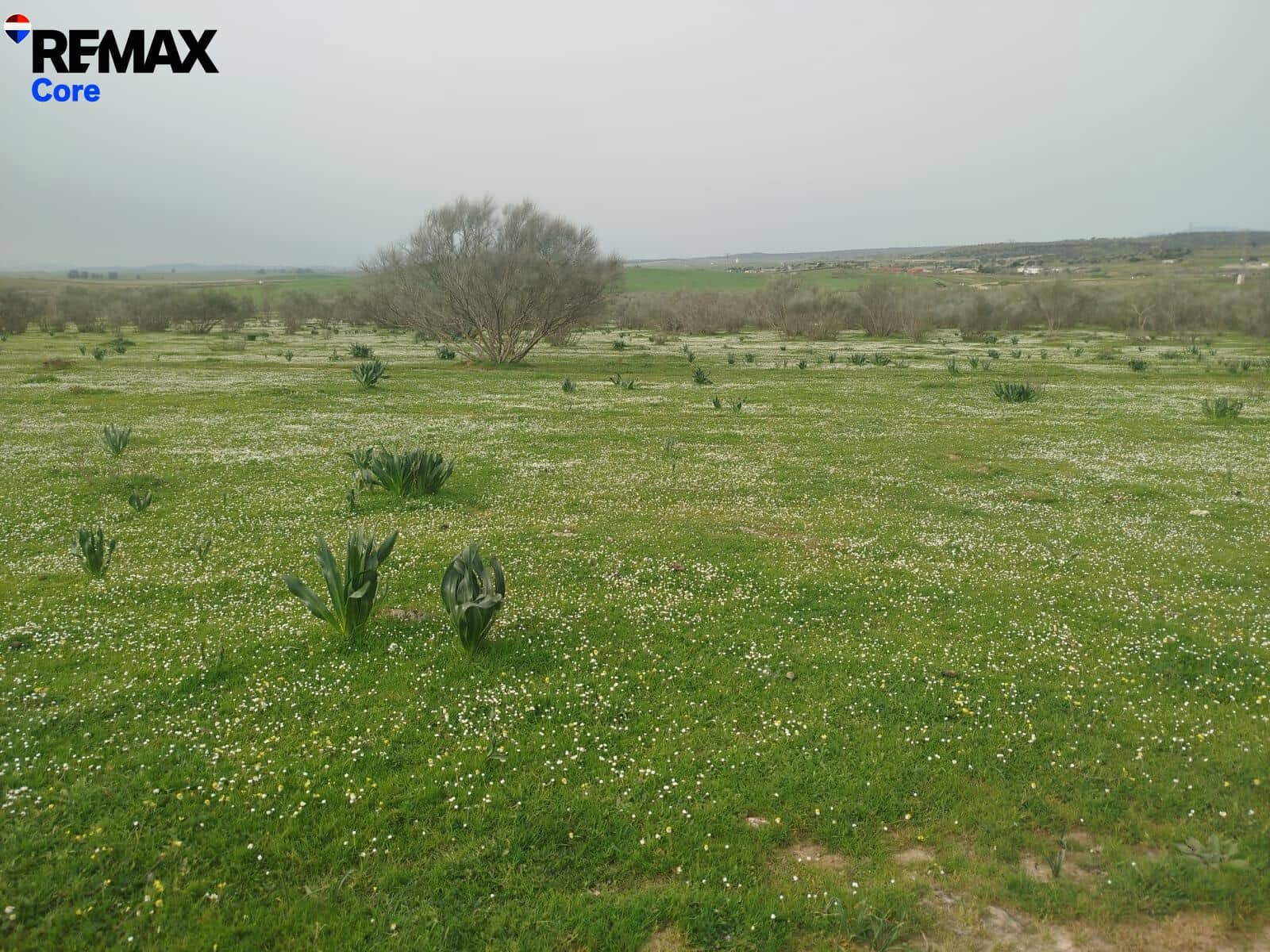 Terreno Non Edificato in vendita in Zorita - 1.530.000 € (Rif: 9661965)