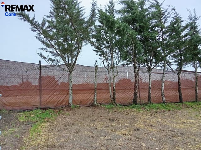 Terreno Não Urbanizado para venda em Badajoz cidade - 25 000 € (Ref: 9670645)