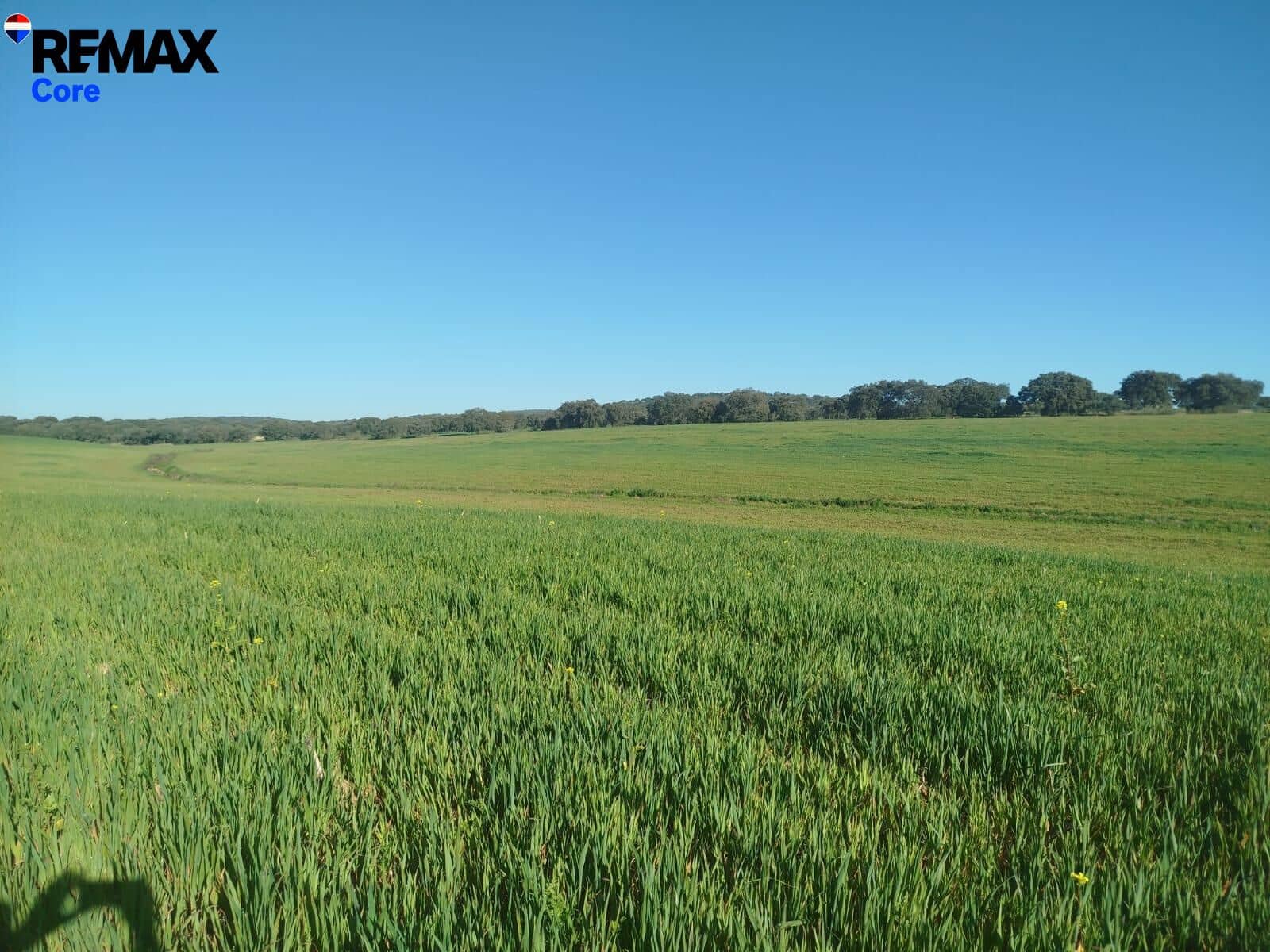 Undeveloped Land for sale in Torremayor - € 280,000 (Ref: 9711976)