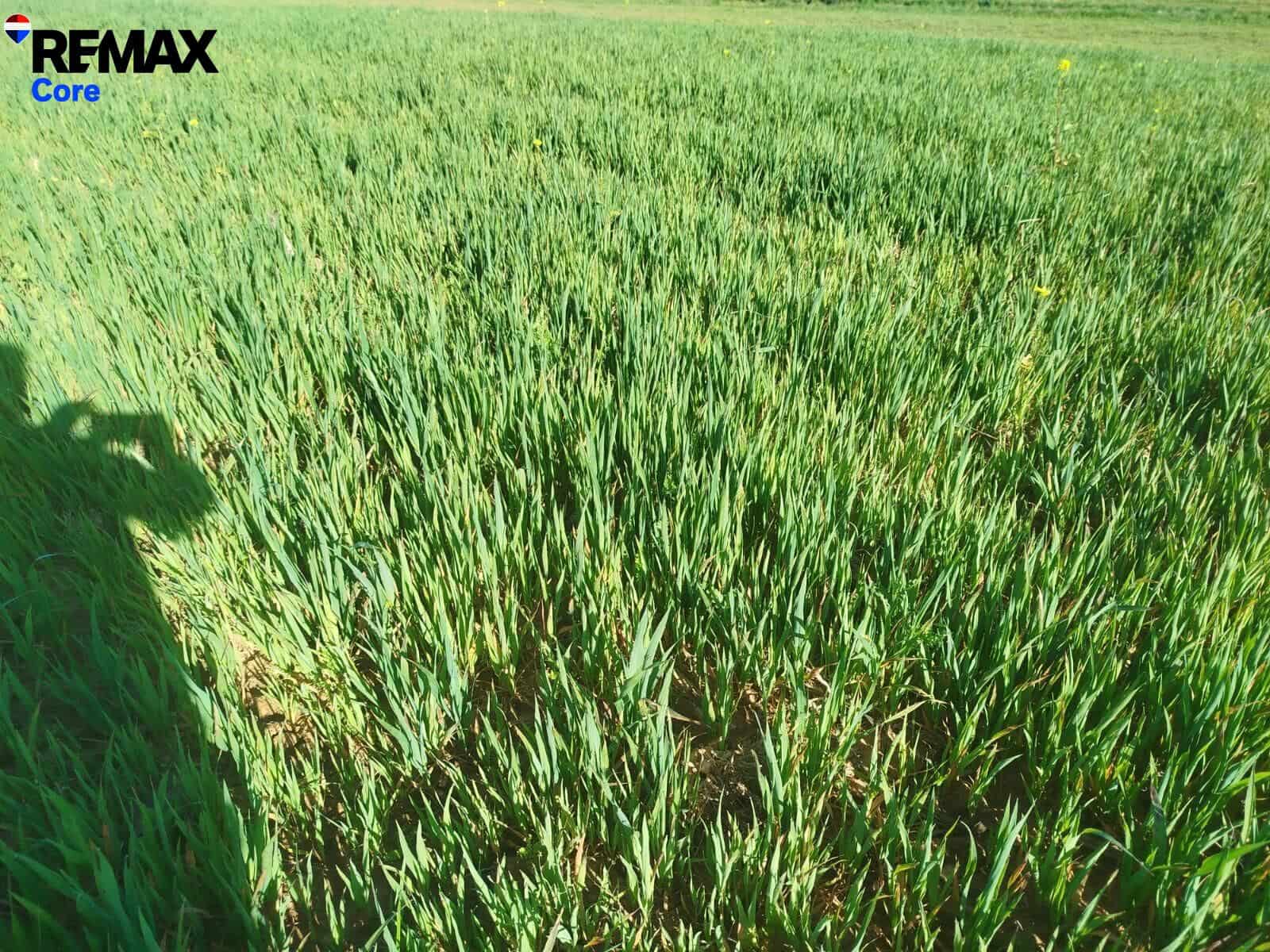 Undeveloped Land for sale in Torremayor - € 280,000 (Ref: 9711976)