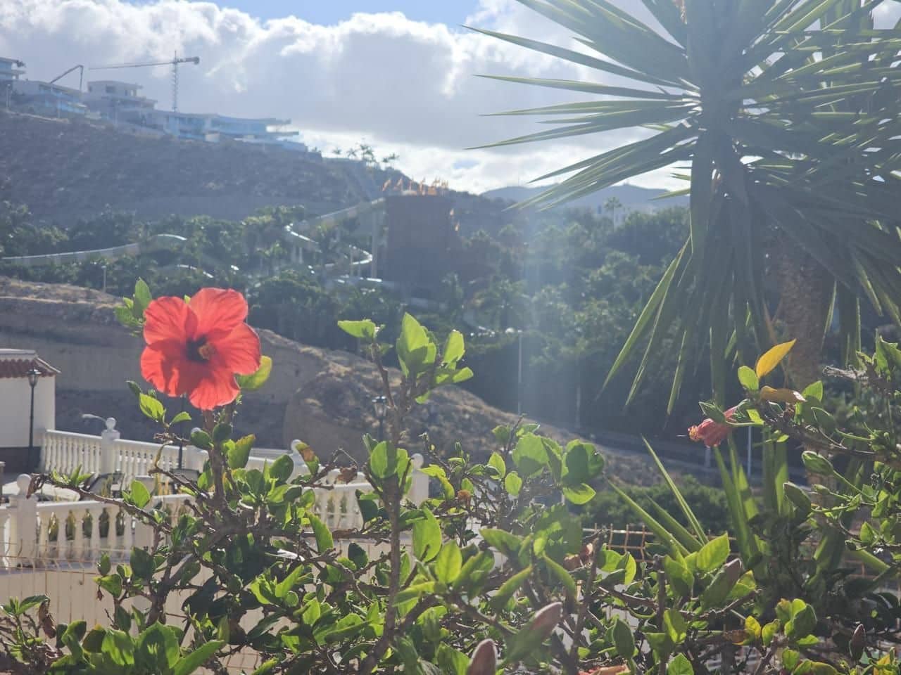 Studio til salg i Adeje med swimmingpool - € 199.000 (Ref: 9190527)