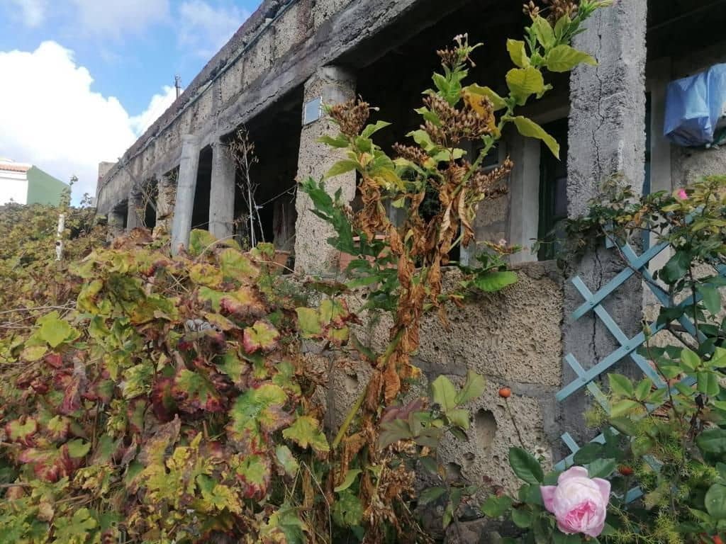 2 soveværelse Finca/Landehus til salg i Guia de Isora - € 299.000 (Ref: 9190535)