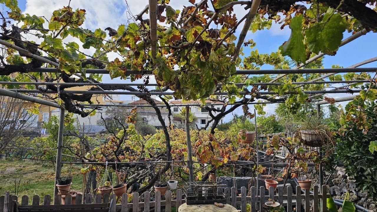 2 soveværelse Finca/Landehus til salg i Guia de Isora - € 299.000 (Ref: 9190535)