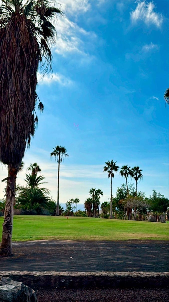 2 bedroom Semi-detached Villa for rent in Adeje with garage - € 1,700 (Ref: 9403147)