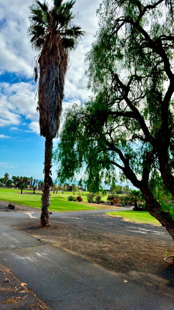 2 bedroom Semi-detached Villa for rent in Adeje with garage - € 1,700 (Ref: 9403147)