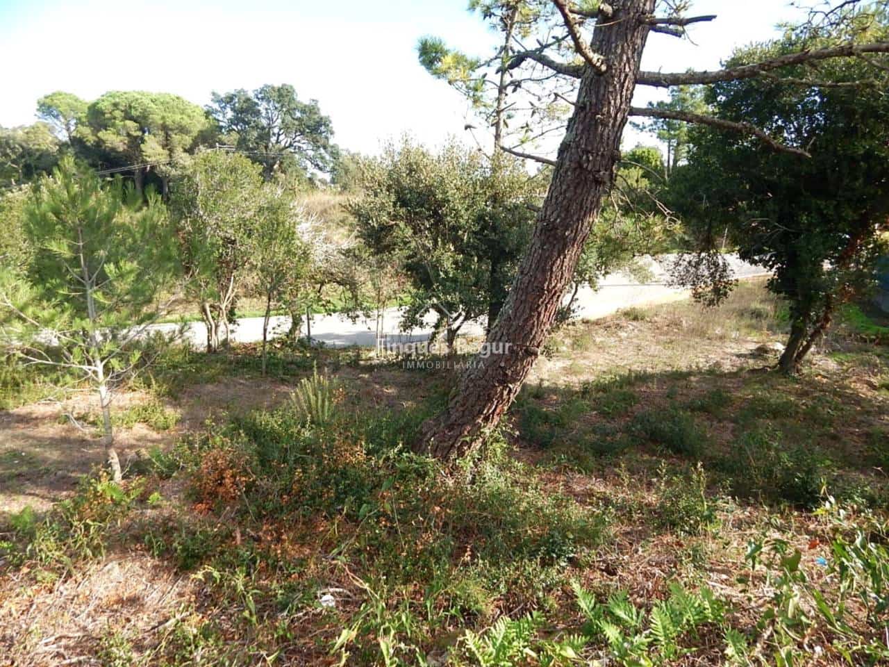 Undeveloped Land for sale in Begur - € 240,000 (Ref: 9194155)