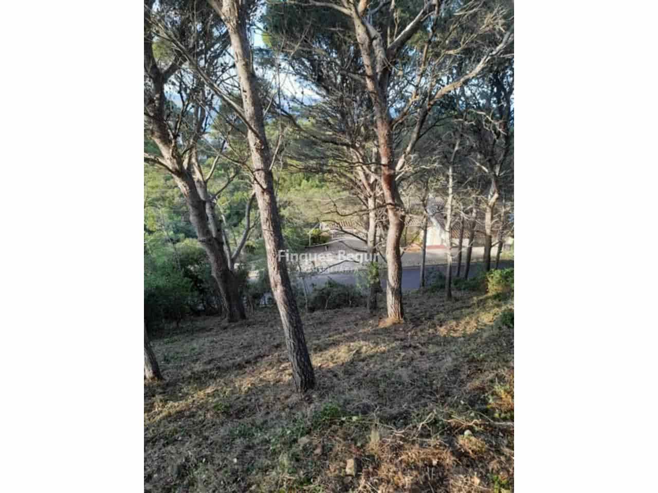 Undeveloped Land for sale in Begur - € 250,000 (Ref: 9194156)