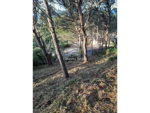 Undeveloped Land for sale in Begur - € 250,000 (Ref: 9194156)