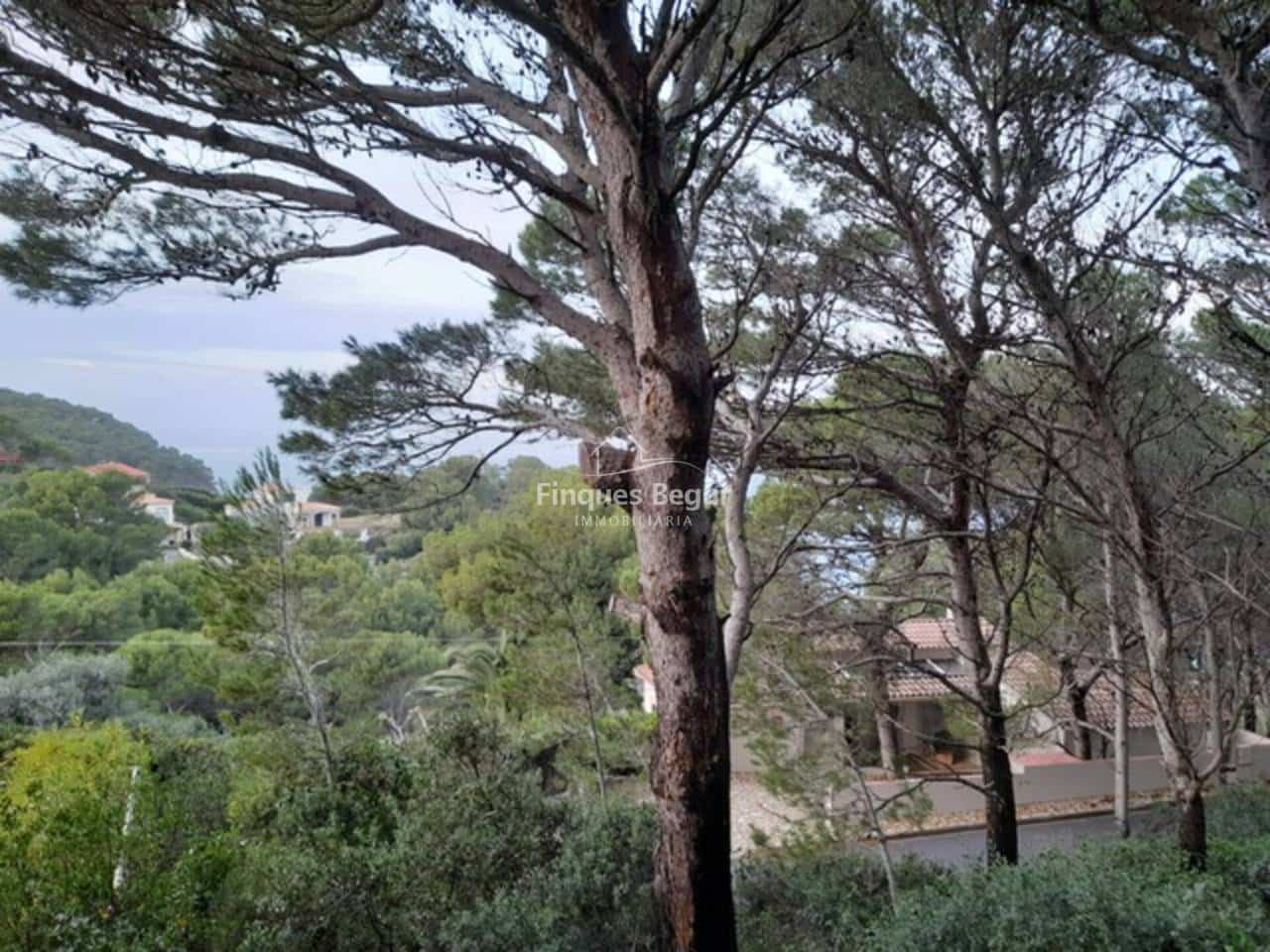 Undeveloped Land for sale in Begur - € 250,000 (Ref: 9194156)