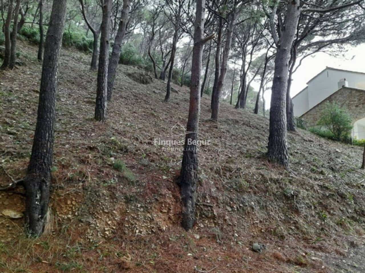 Undeveloped Land for sale in Begur - € 250,000 (Ref: 9194156)