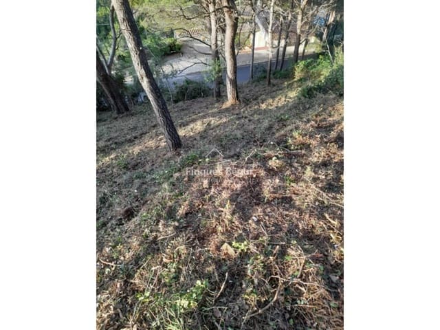 Undeveloped Land for sale in Begur - € 250,000 (Ref: 9194156)