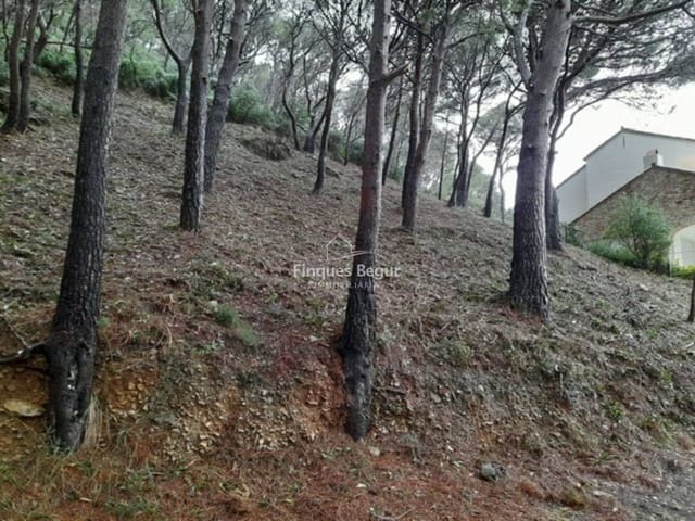 Undeveloped Land for sale in Begur - € 250,000 (Ref: 9194156)
