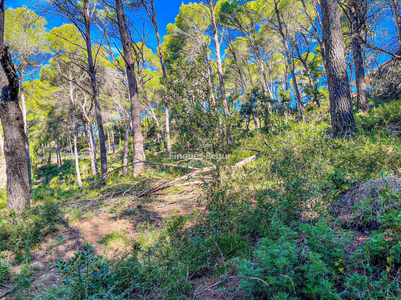 Byggegrund til salg i Begur - € 500.000 (Ref: 9195128)