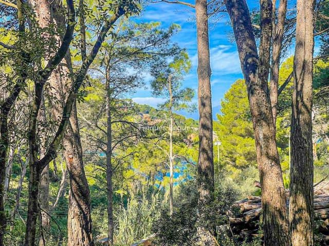 Building Plot for sale in Begur - € 500,000 (Ref: 9195128)