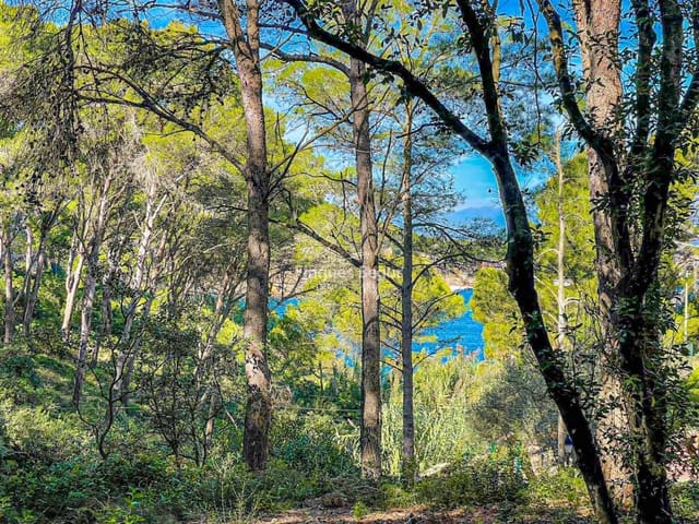 Building Plot for sale in Begur - € 500,000 (Ref: 9195128)