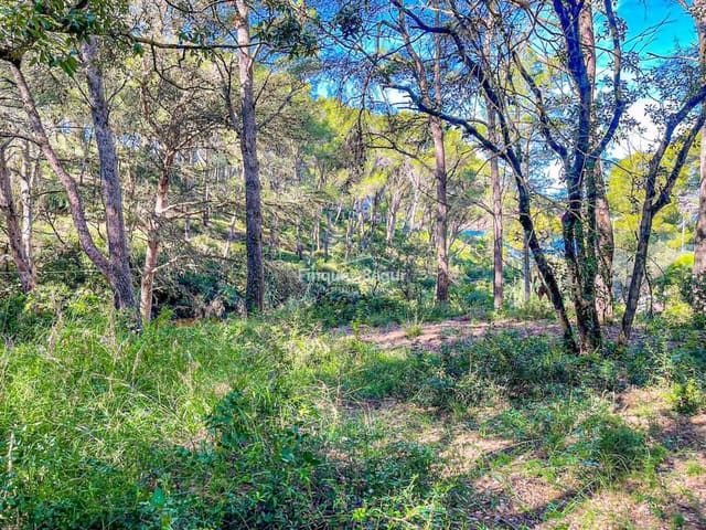 Building Plot for sale in Begur - € 500,000 (Ref: 9195128)