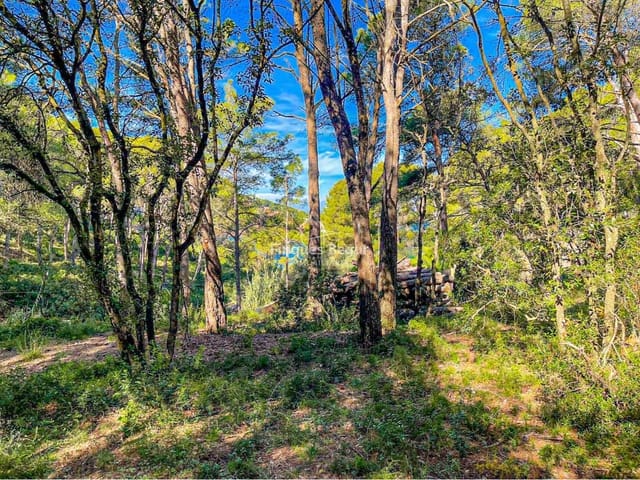 Building Plot for sale in Begur - € 500,000 (Ref: 9195128)