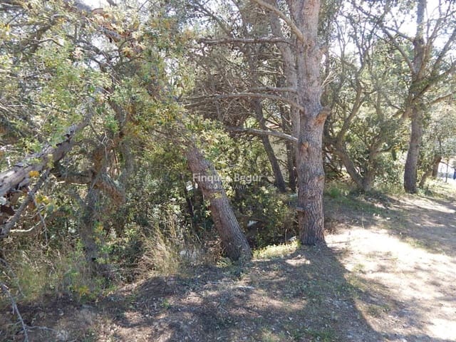 Undeveloped Land for sale in Palafrugell - € 280,000 (Ref: 9230248)