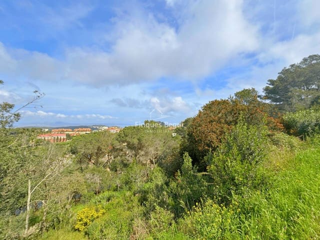 Undeveloped Land for sale in Begur - € 300,000 (Ref: 9230249)