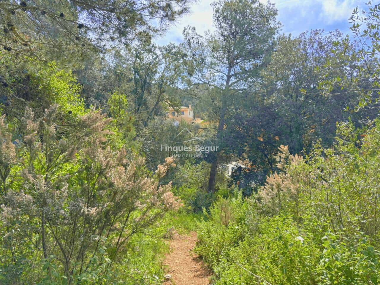 Ubebygd land til salgs i Begur - € 115 000 (Ref: 9280943)