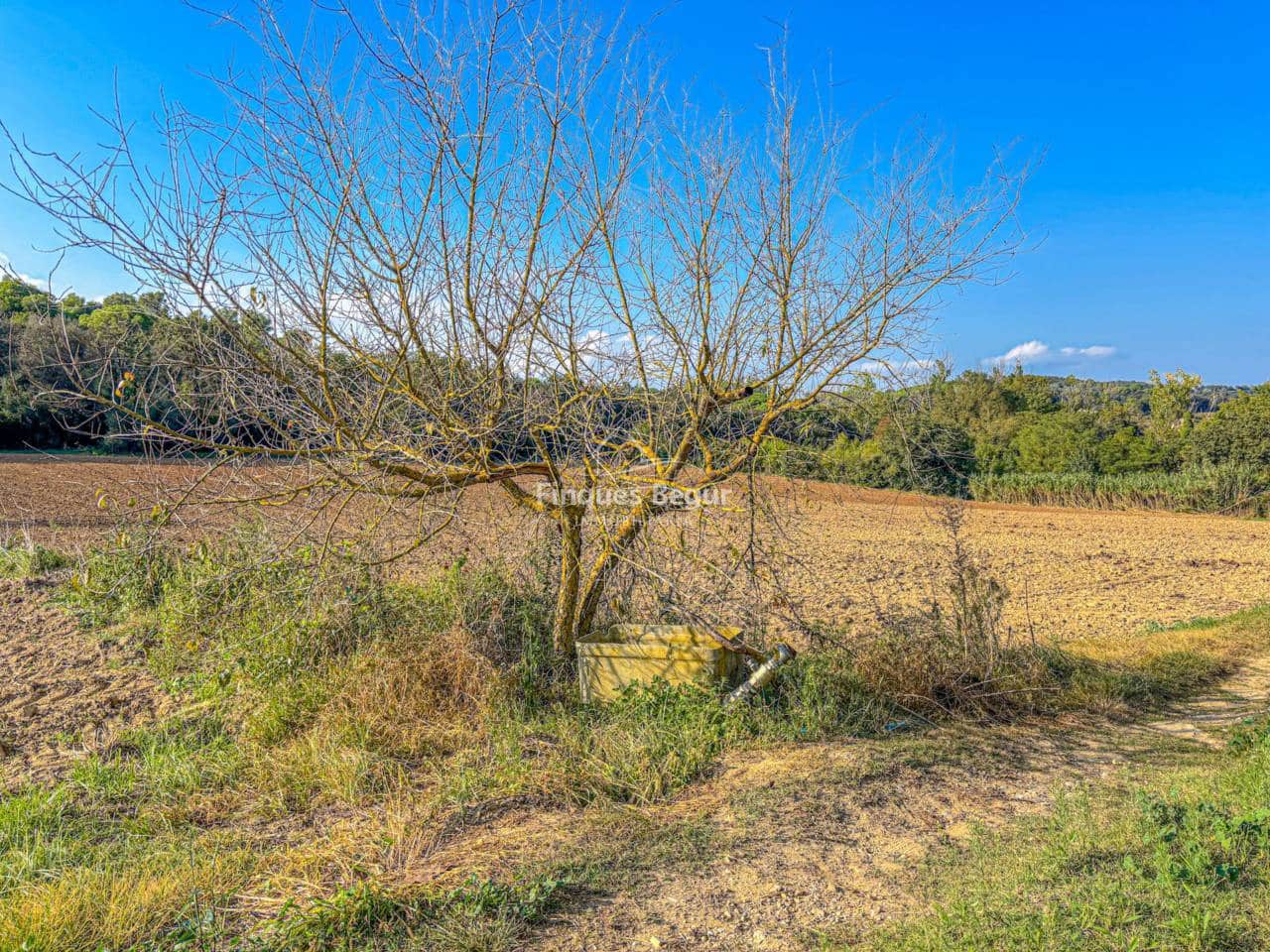 4 soverom Finca/Herregård til salgs i Corca med garasje - € 1 500 000 (Ref: 9321483)