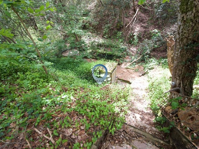 4 makuuhuone Maalaistalo myytävänä paikassa Arbúcies - 395 000 € (Ref: 9534127)