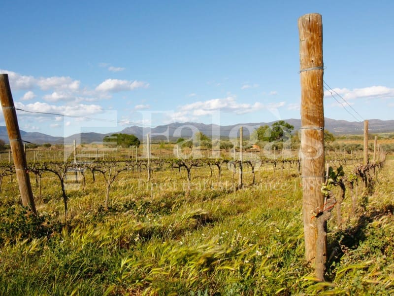 3 soveværelse Finca/Landehus til salg i Masarac - € 975.000 (Ref: 9192933)